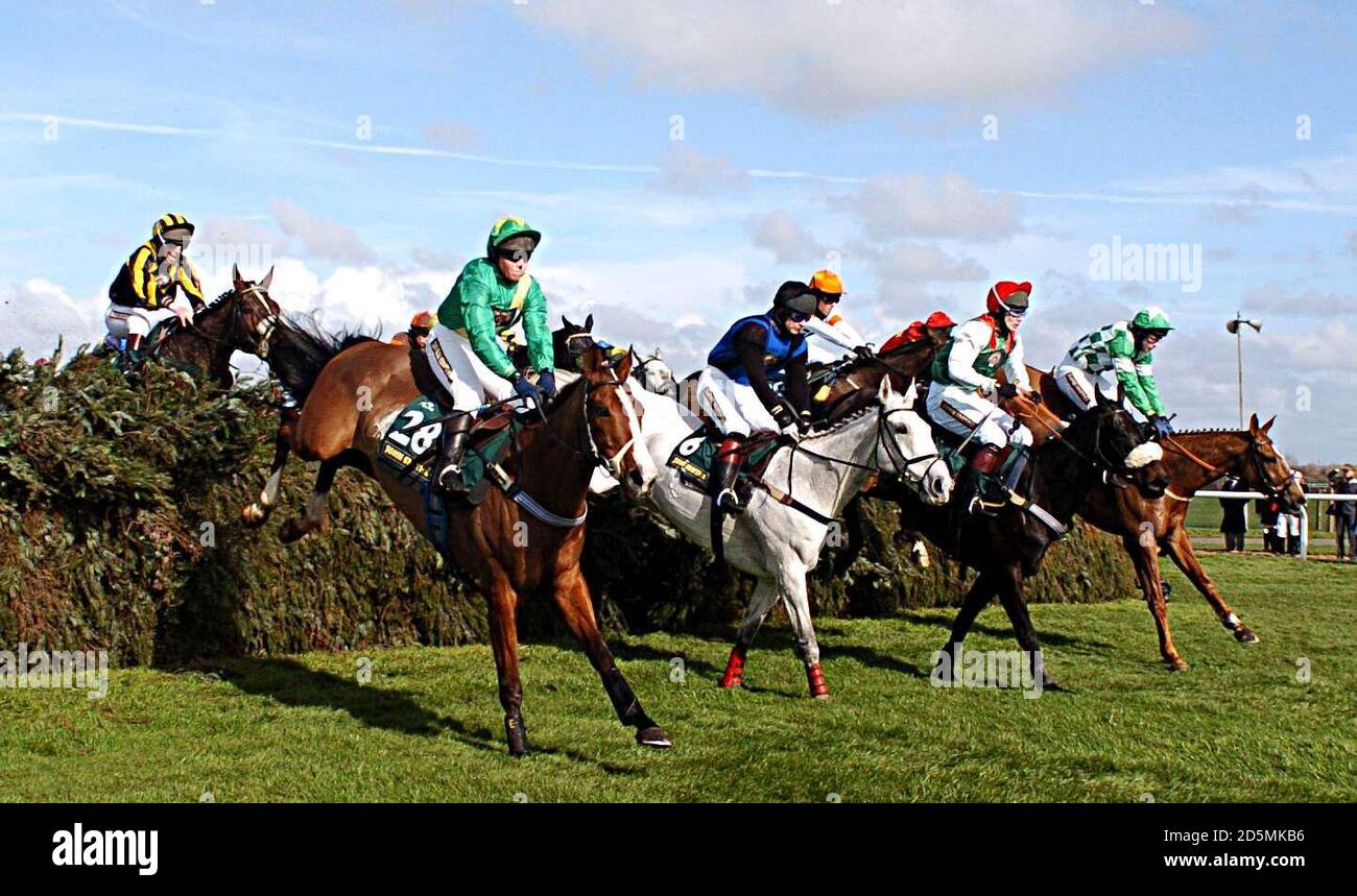 Horses clear the first fence in the John Smith's Fox Hunters' Chase Stock Photo