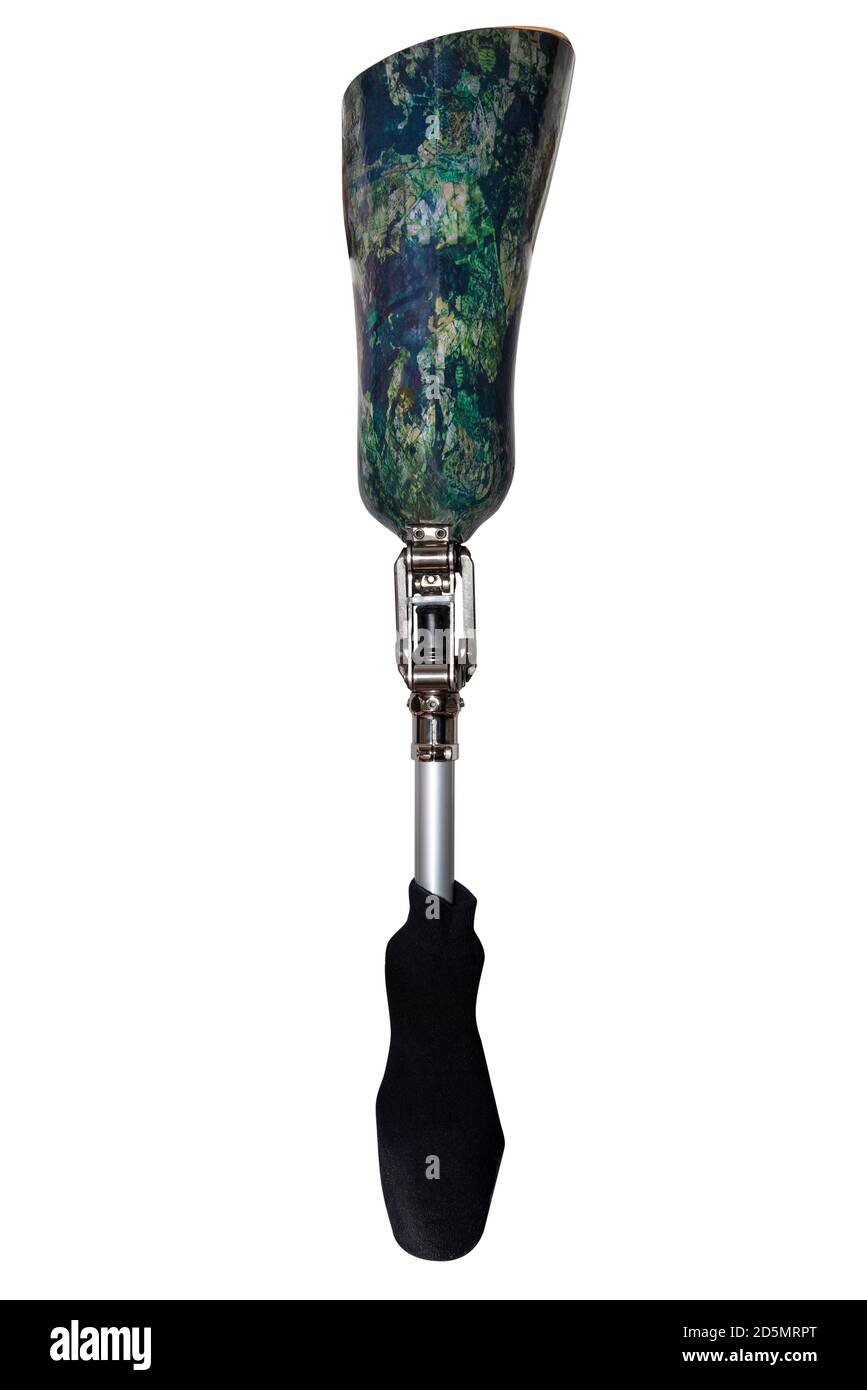 A prosthetic leg with a green leg socket and a black sock, isolated on a white background with a clipping path, rear view of the foot. Stock Photo