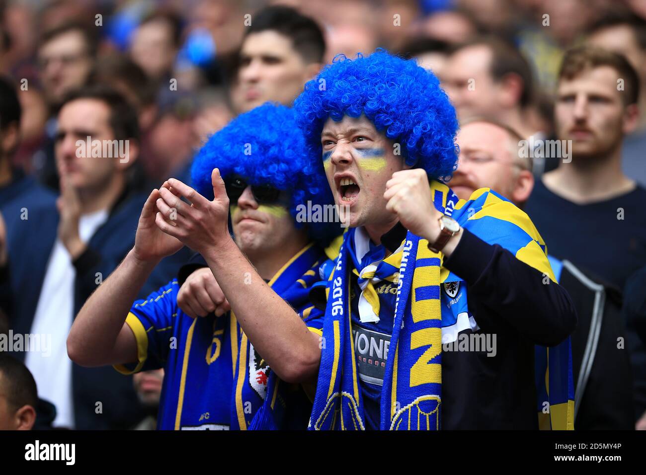 Wimbledon afc crowd hi-res stock photography and images - Alamy