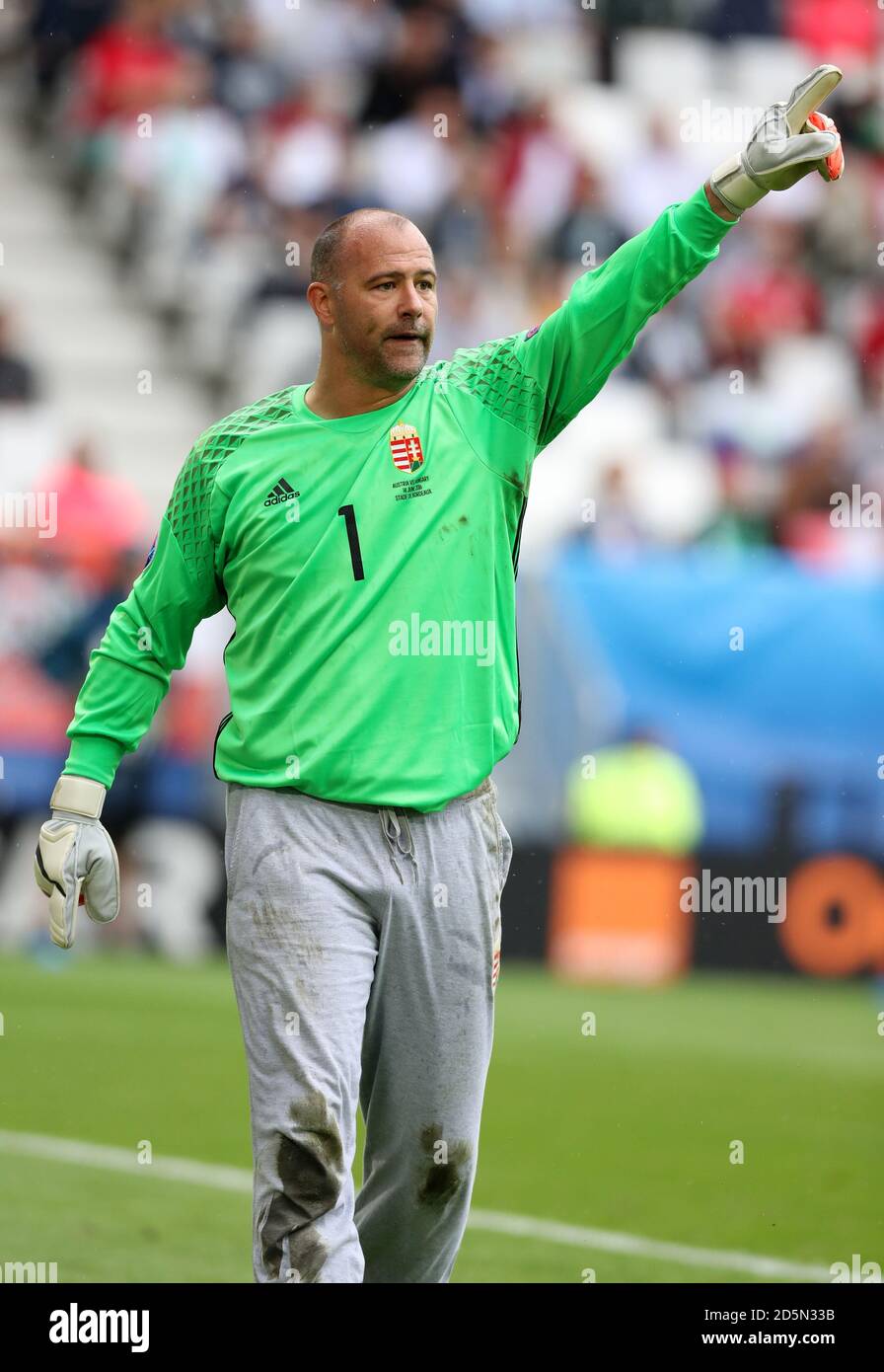 Hungary goalkeeper Gabor Kiraly Stock Photo Alamy