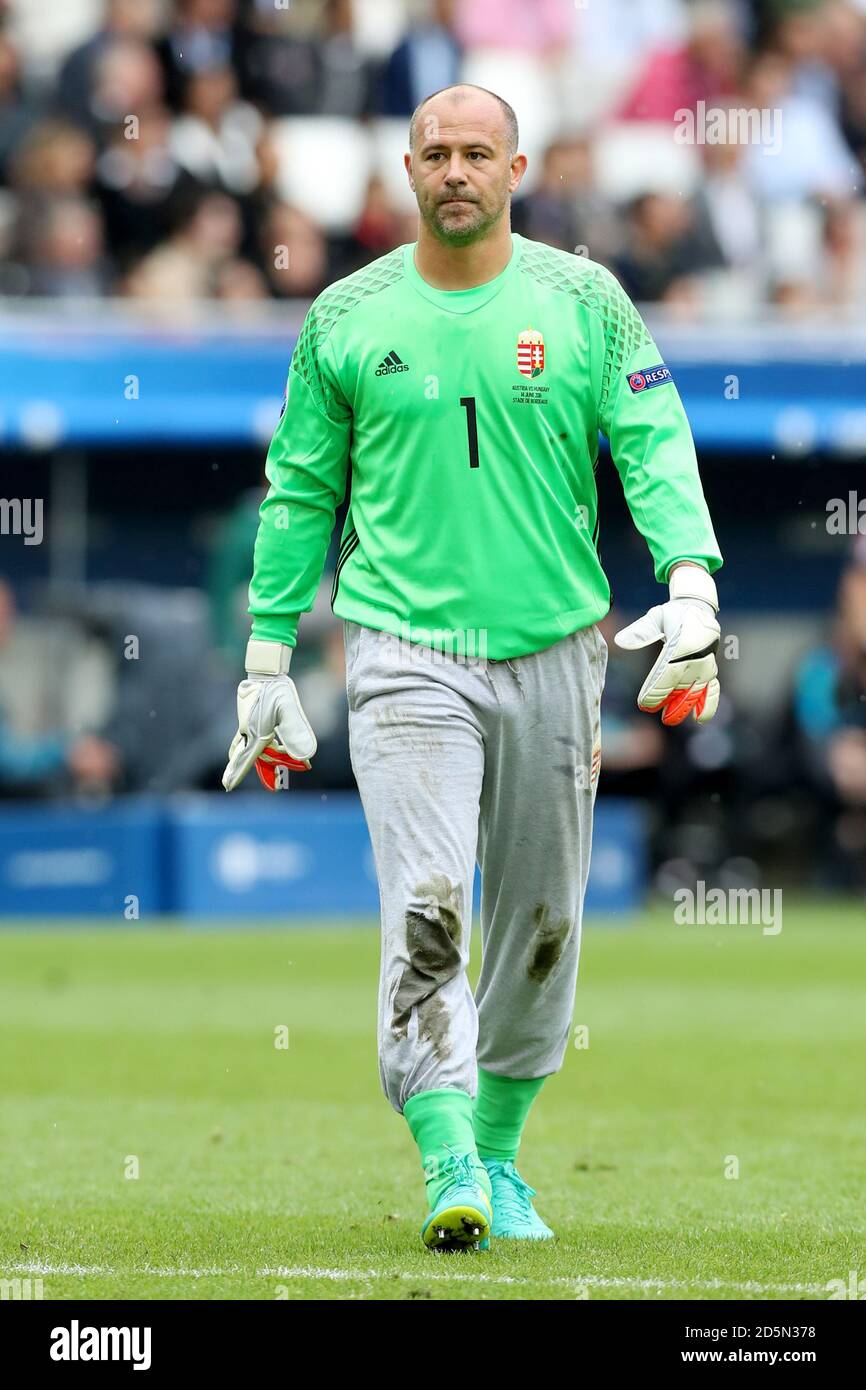Hungary goalkeeper Gabor Kiraly Stock Photo Alamy