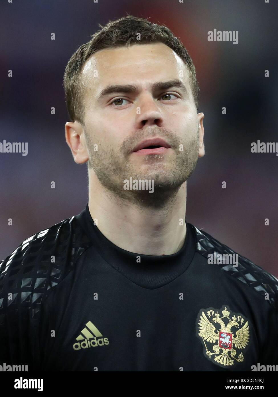 Russia goalkeeper Igor Akinfeev Stock Photo Alamy
