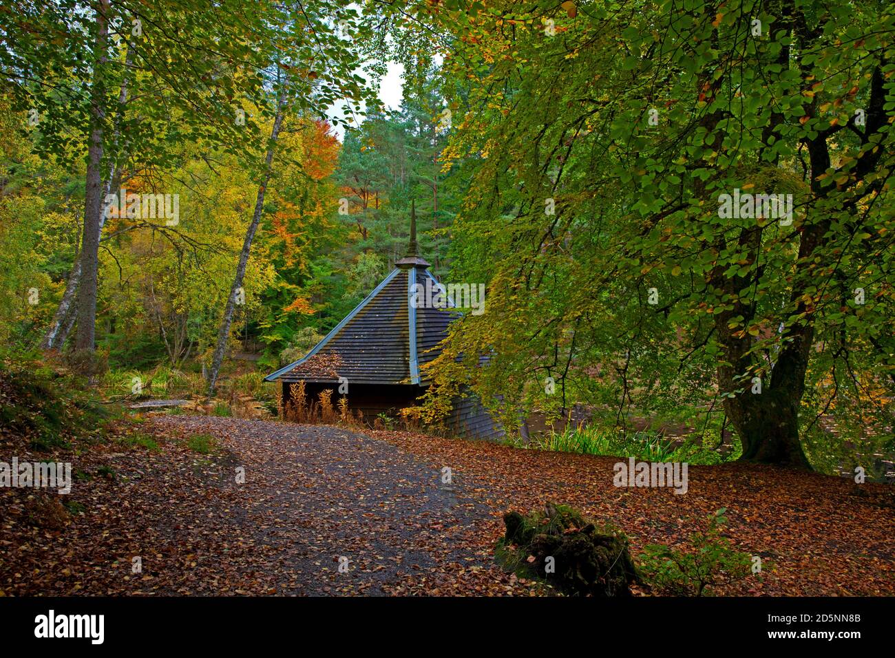 Perthshire, Scotland, UK, Loch Dunmore. 14 October  2020. Autumn foliage in Faskally Woods, and around the loch near Pitlochry, Scotland, UK. Stock Photo