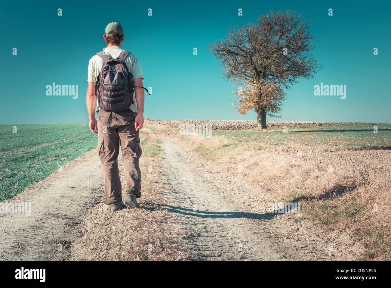 Man Walking Lonely Road High Resolution Stock Photography And Images Alamy Man Walking Lonely Road High Resolution Stock Photography And Images Alamy