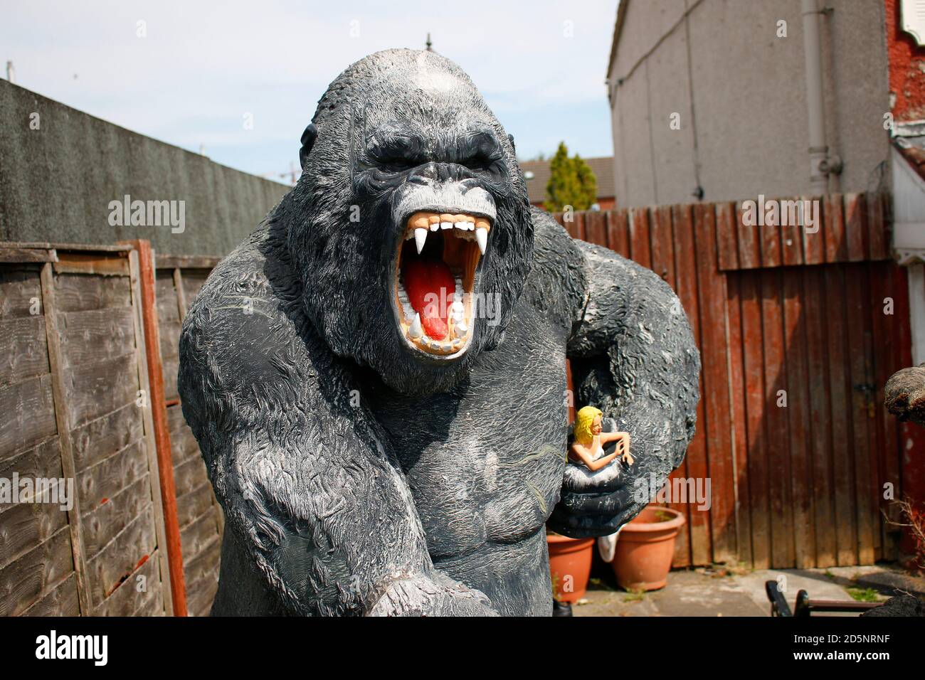Impressionen King KongFigur im Belfast, Nordirland