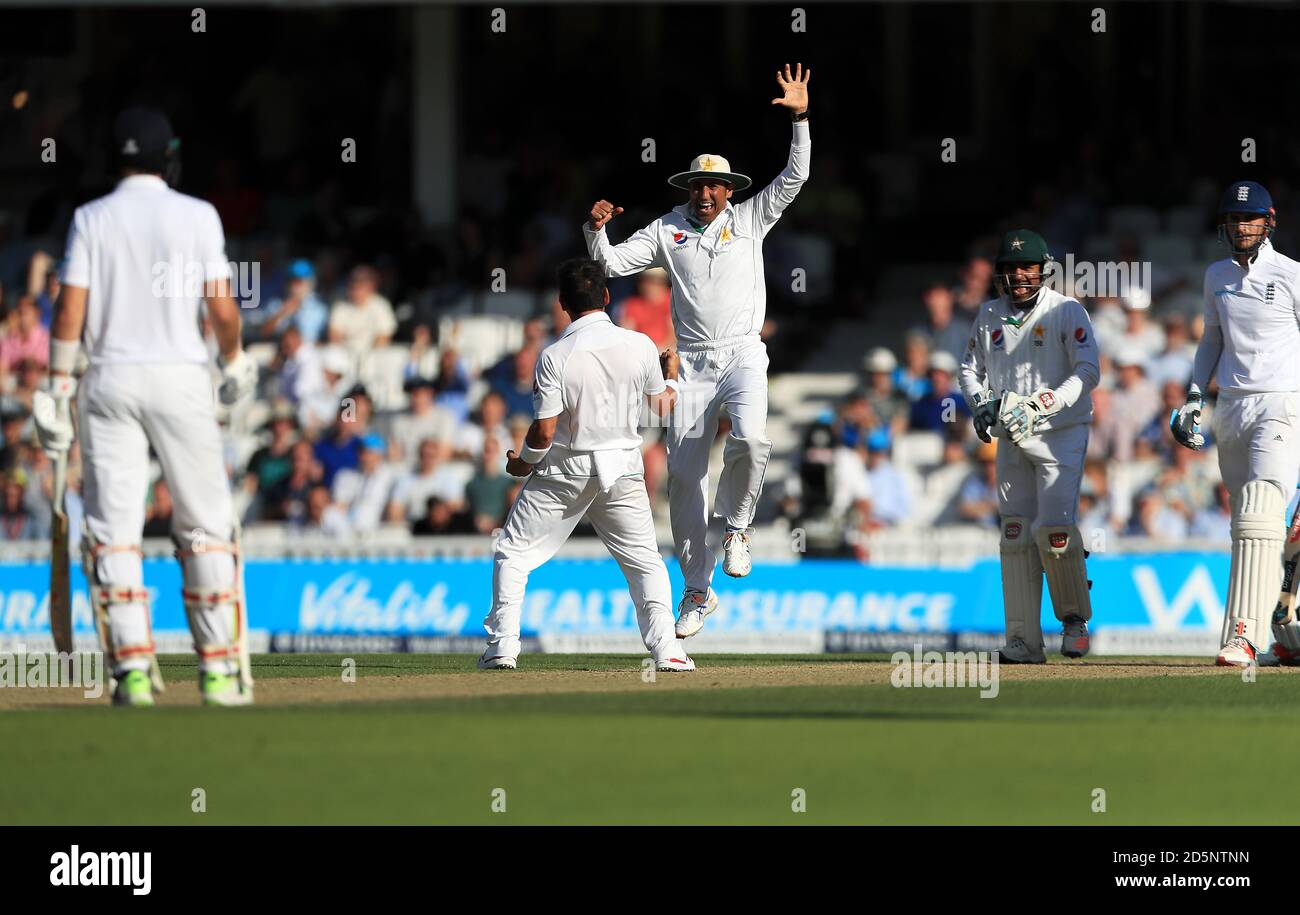 Pakistan's Younus Khan celebrates the wicket of England's Alex Hales Stock Photo