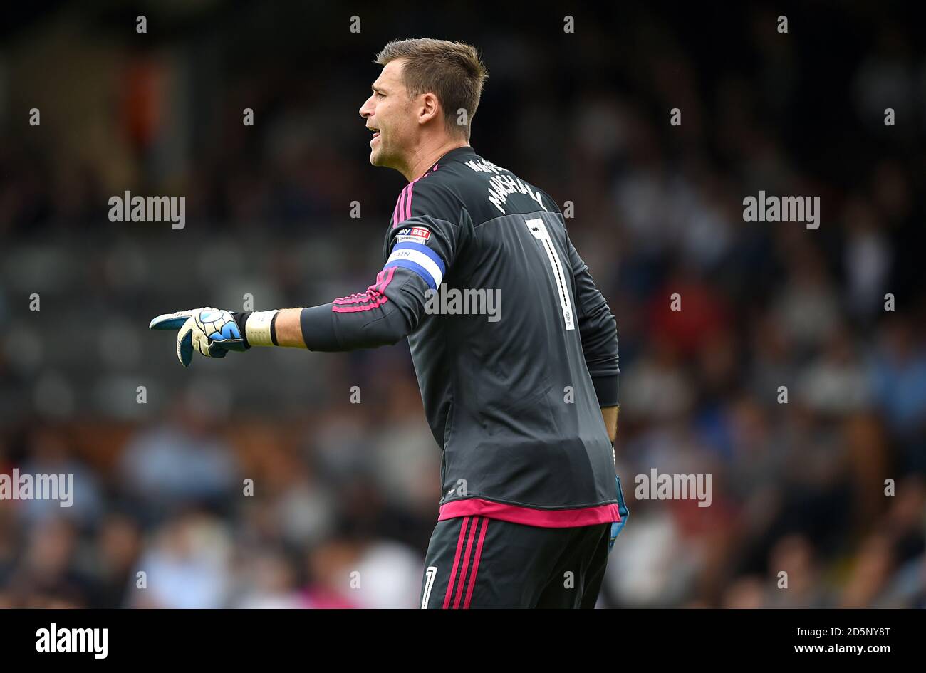 Cardiff City goalkeeper David Marshall Stock Photo - Alamy