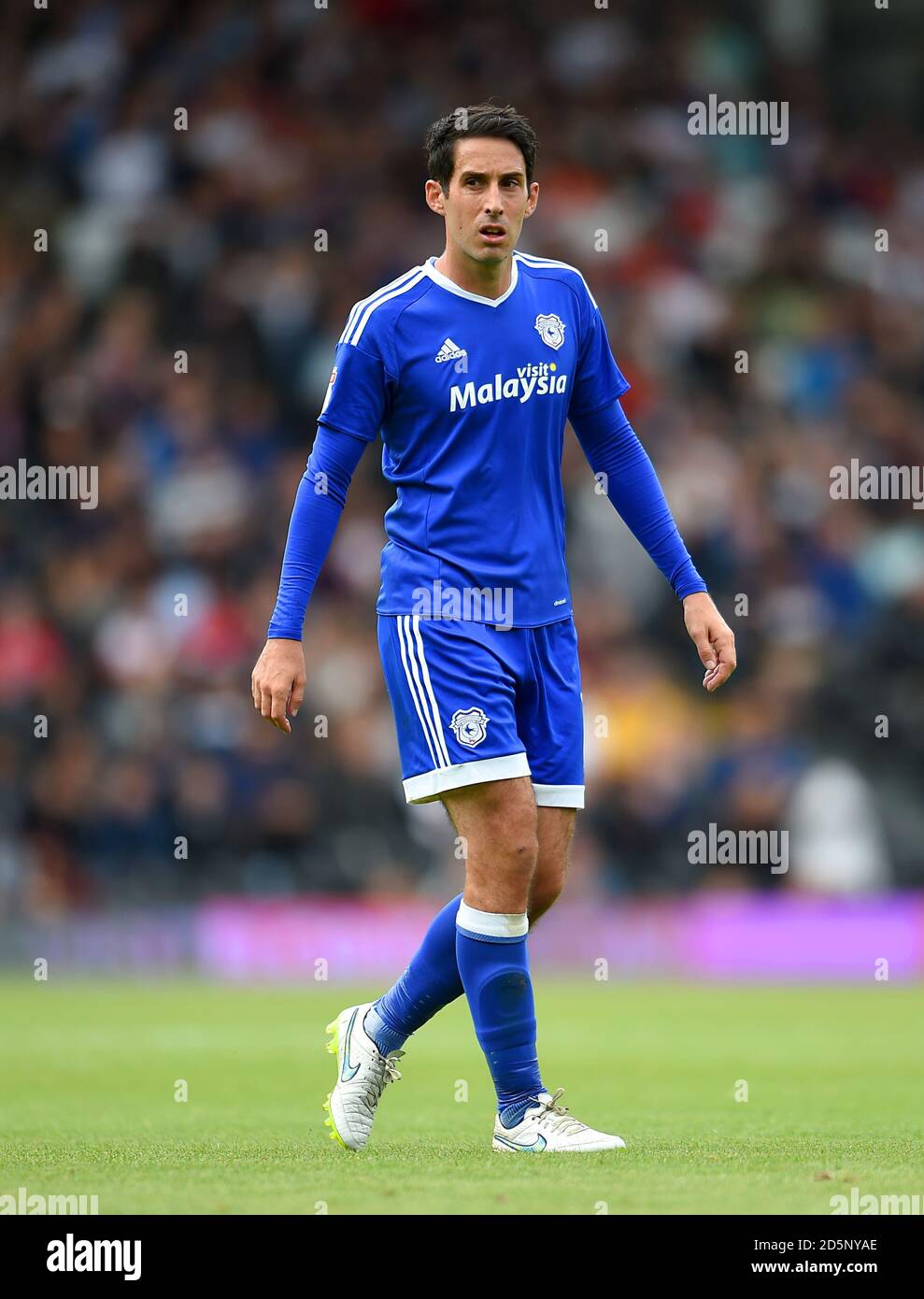 Peter Whittingham, Cardiff City.  Stock Photo