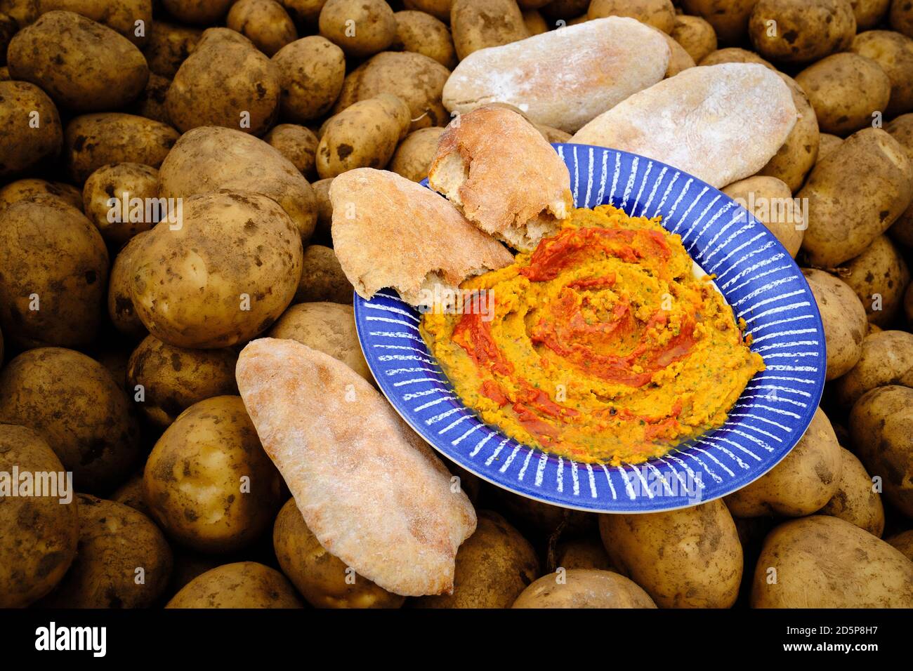 Homemade Roast Carrot & Harissa Houmous Stock Photo