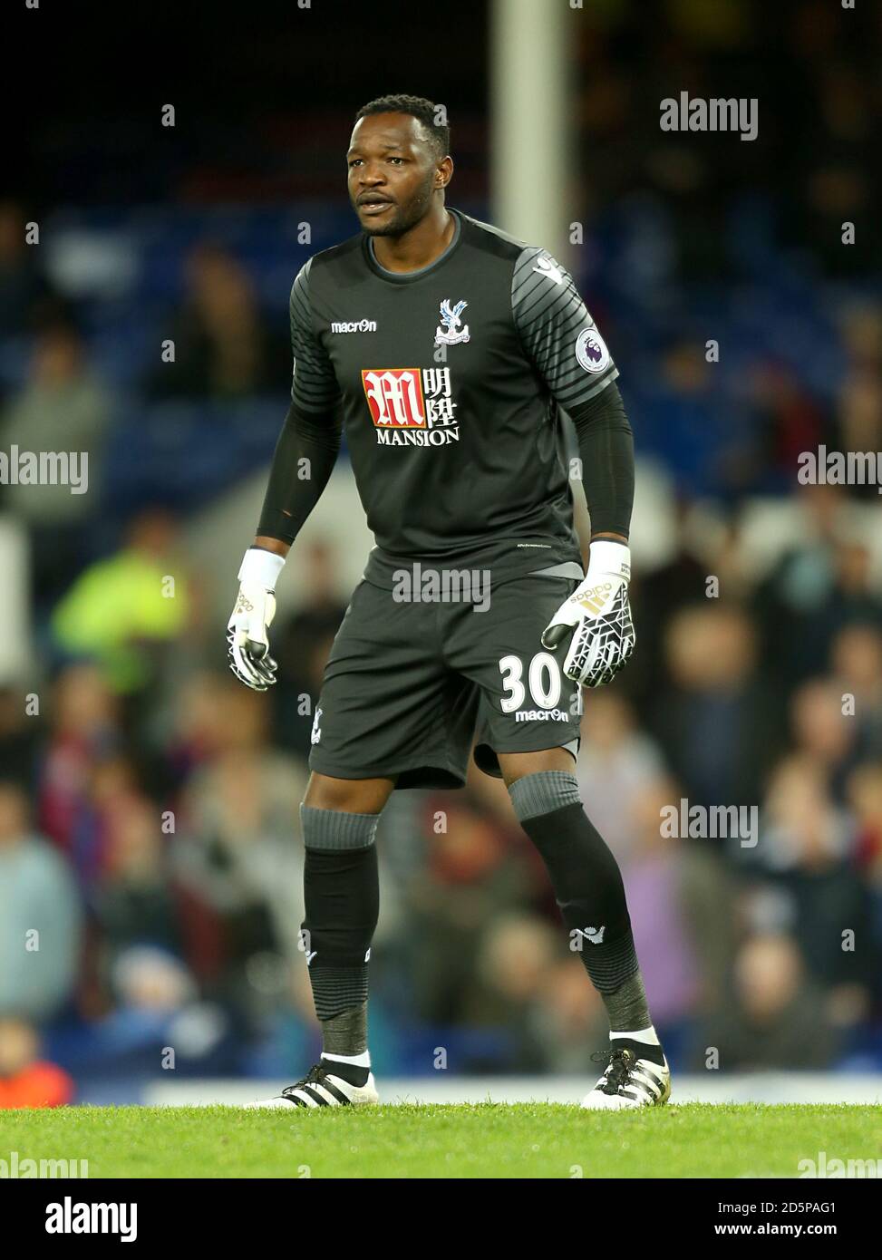 Steve Mandanda