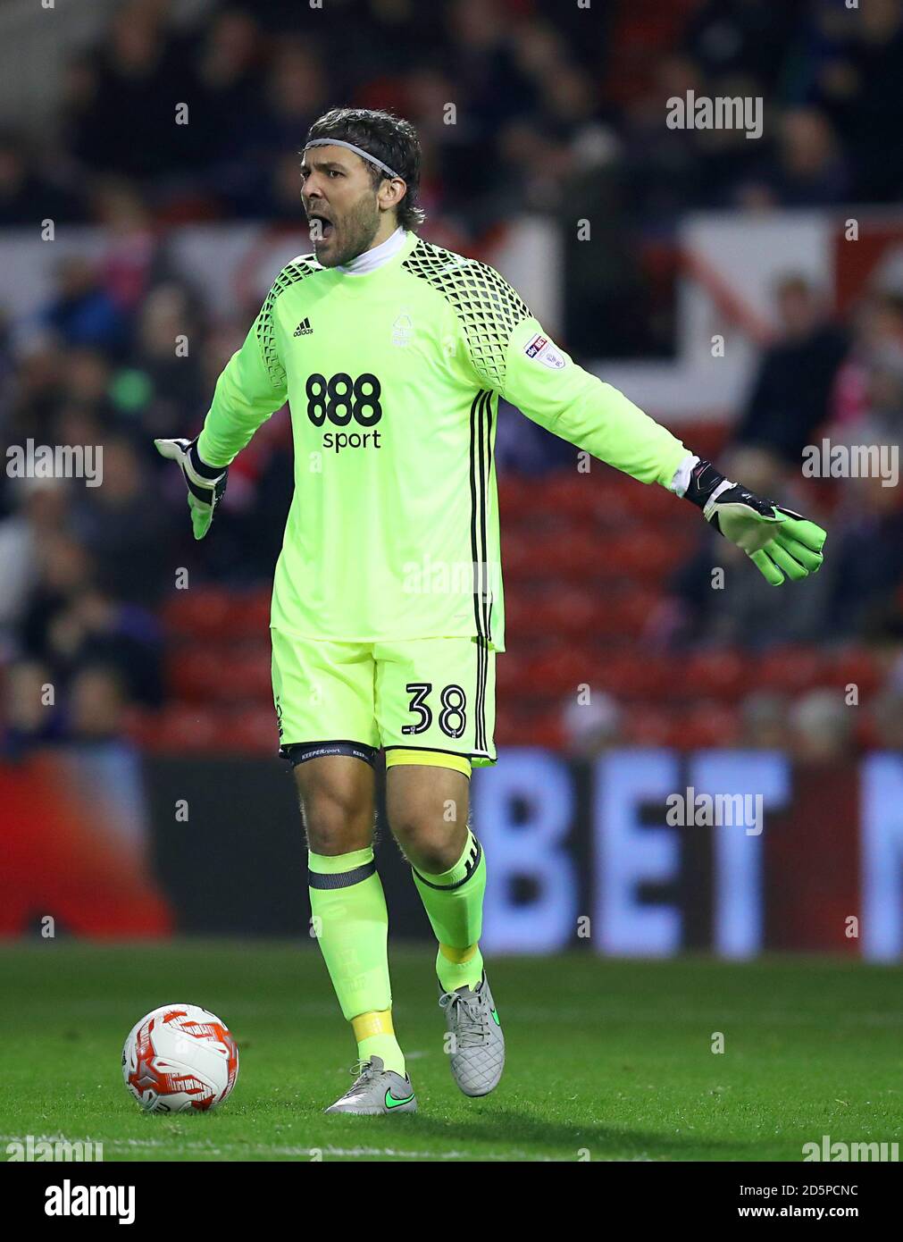 Nottingham Forest goalkeeper Vladimir Stojkovic Stock Photo