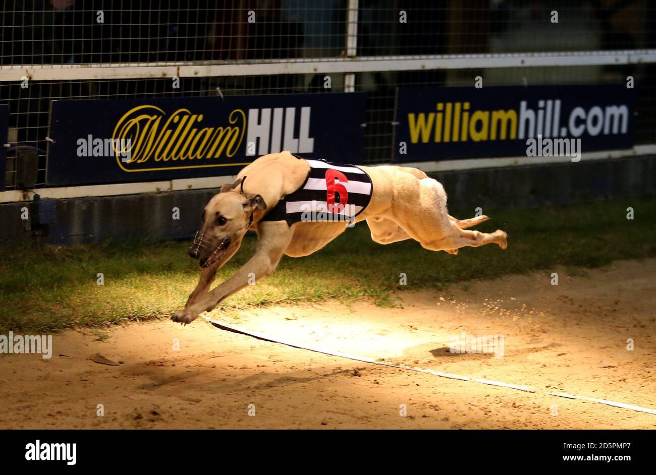 William Hill Hotbox Bet 480 Maiden Div 2 winner Mystical Billy at