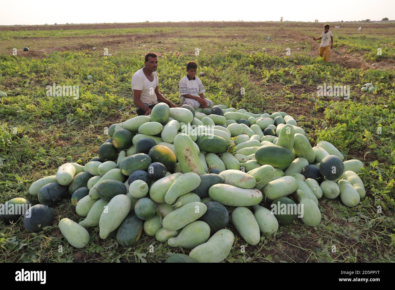 Hajjah, Yemen. 12th Oct, 2020. Mohammed Al-Jaidi's children display