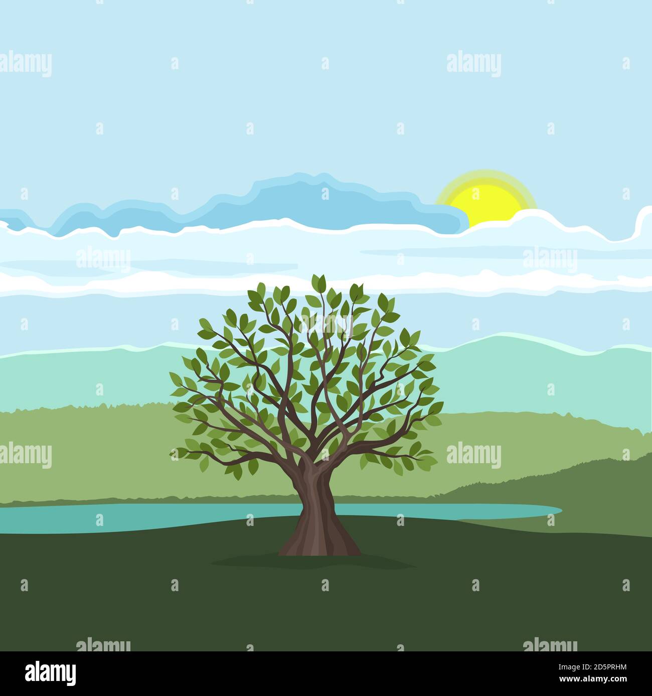 Trees with leaves Stock Vector Image & Art - Alamy
