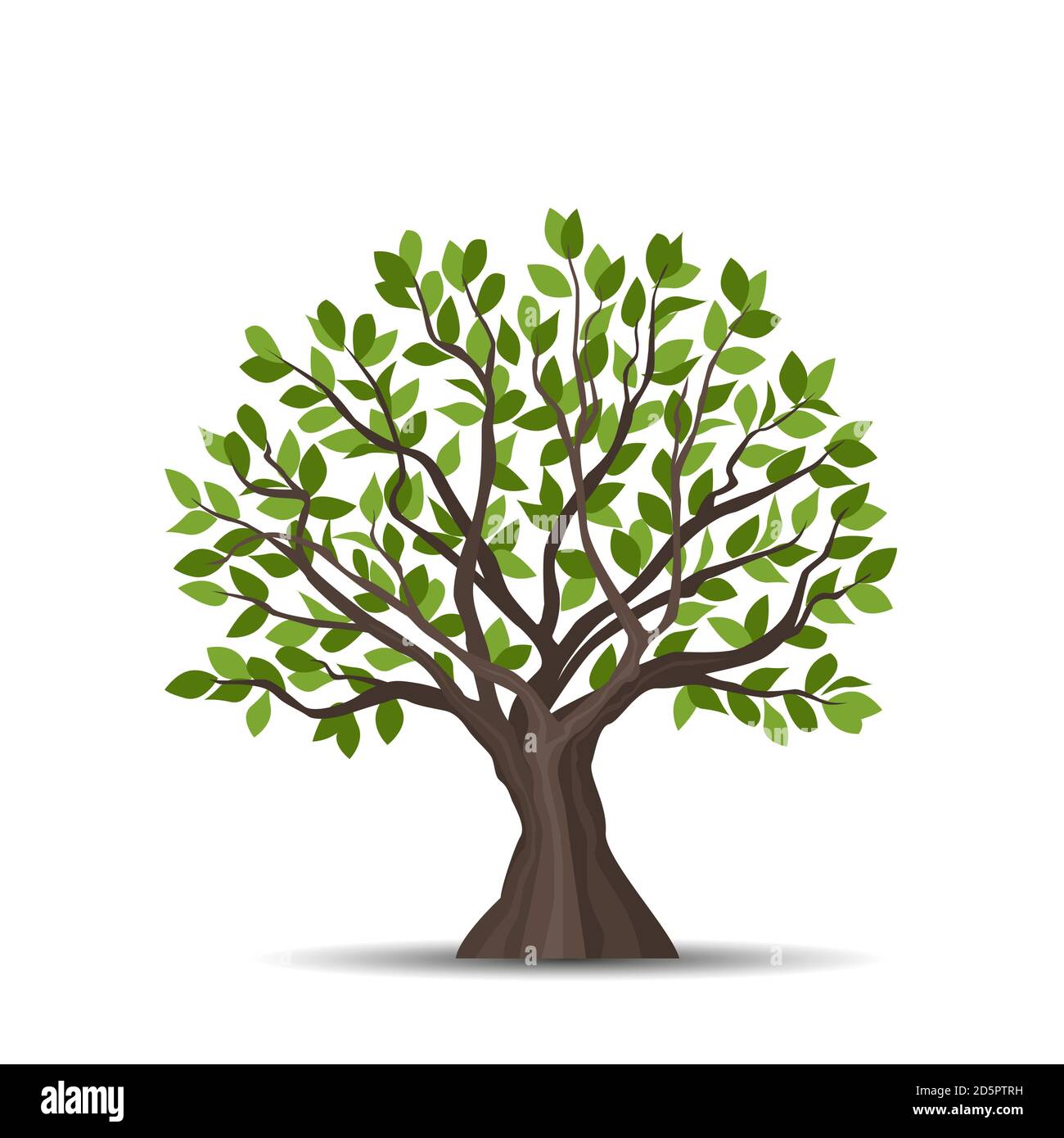 Trees with leaves Stock Vector Image & Art - Alamy