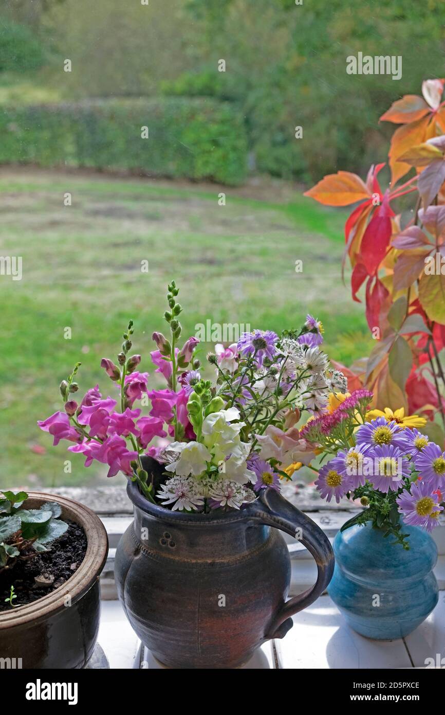 Colourful colorful bouquet of homegrown cut garden flowers in jug, pot and vase on a home kitchen windowsill in autumn UK Great Britain  KATHY DEWITT Stock Photo