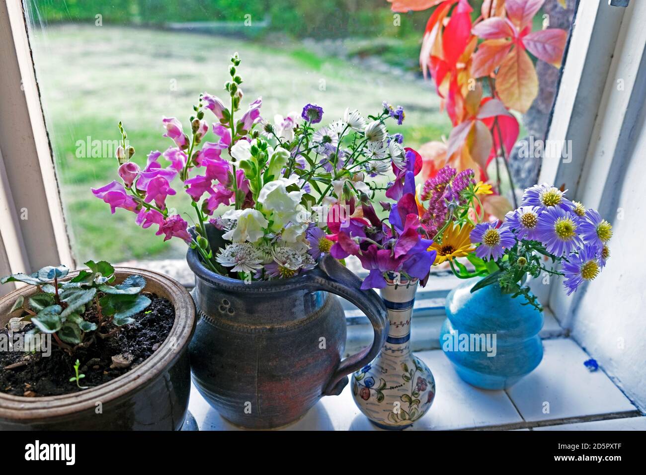 Colourful colorful bouquet of homegrown cut garden flowers in jug, pot and vase on a home kitchen windowsill in autumn UK Great Britain  KATHY DEWITT Stock Photo