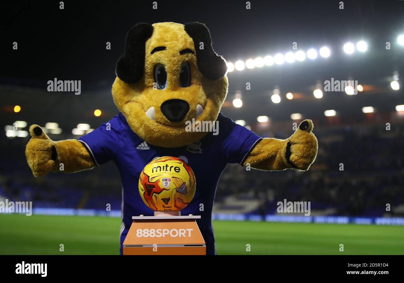 Birmingham City Mascot Prior To The Game Stock Photo Alamy birmingham-city-mascot-prior-to-the-game-stock-photo-alamy