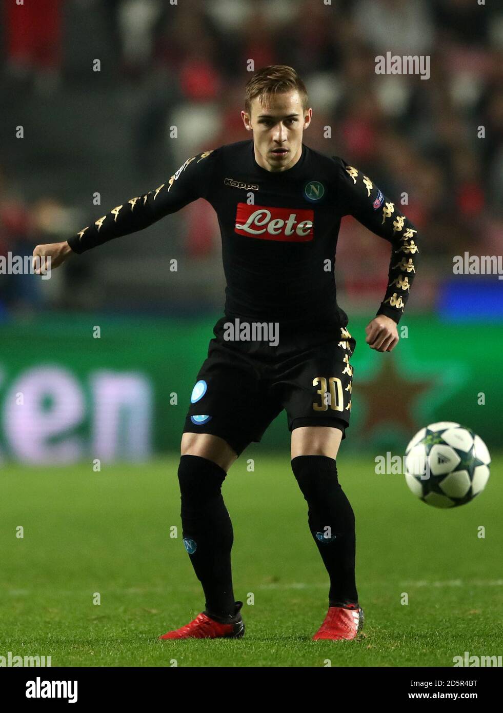Marko rog hi-res stock photography and images - Alamy