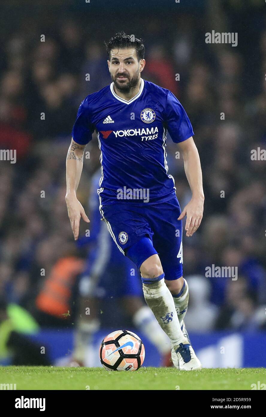 Cesc Fabregas, Chelsea Stock Photo - Alamy