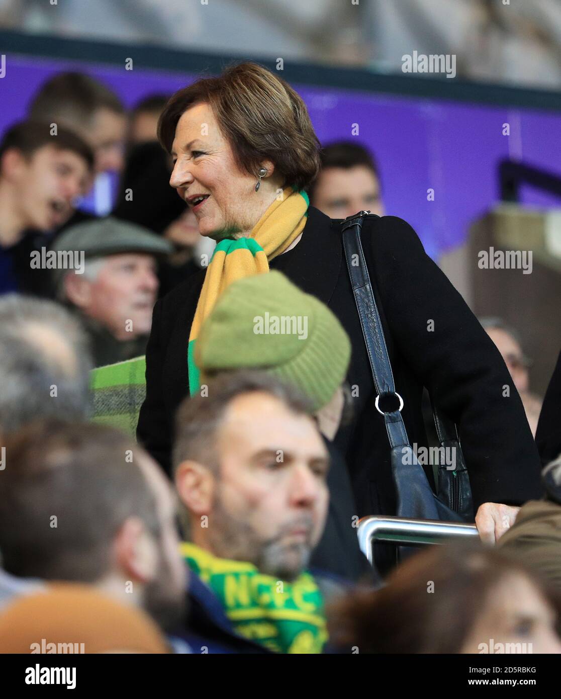 Norwich city joint majority shareholder hires stock photography and