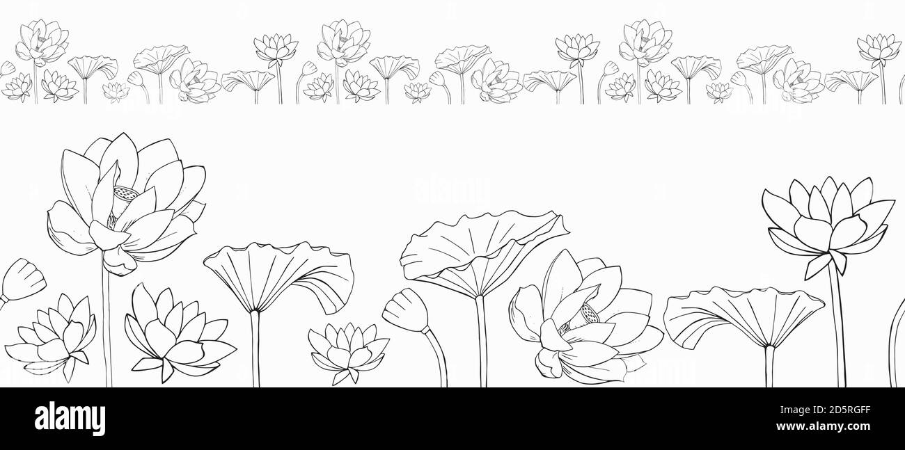 vector seamless border of Lotus flowers and leaves Stock Vector Image
