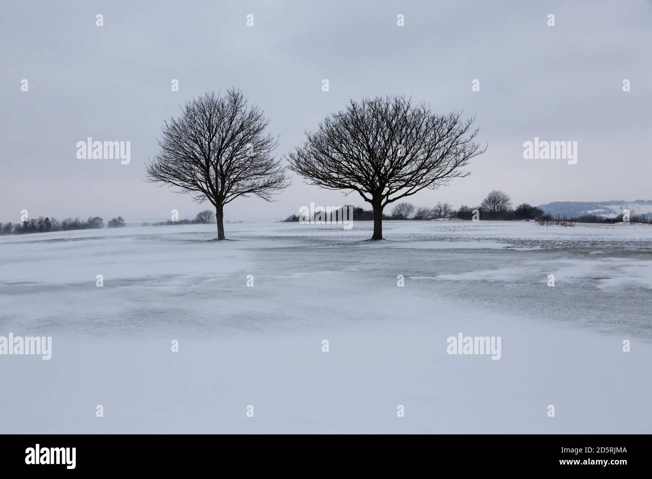 Snowy landscape across a golf course in Somerset Stock Photo
