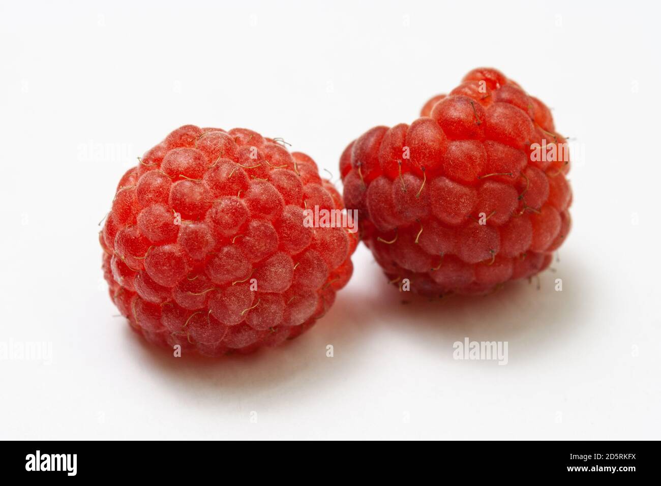 Two ripe raspberries isolated on a white background close-up. Fresh raspberries without sheets on the table. Macro shooting. Healthy, wholesome food Stock Photo