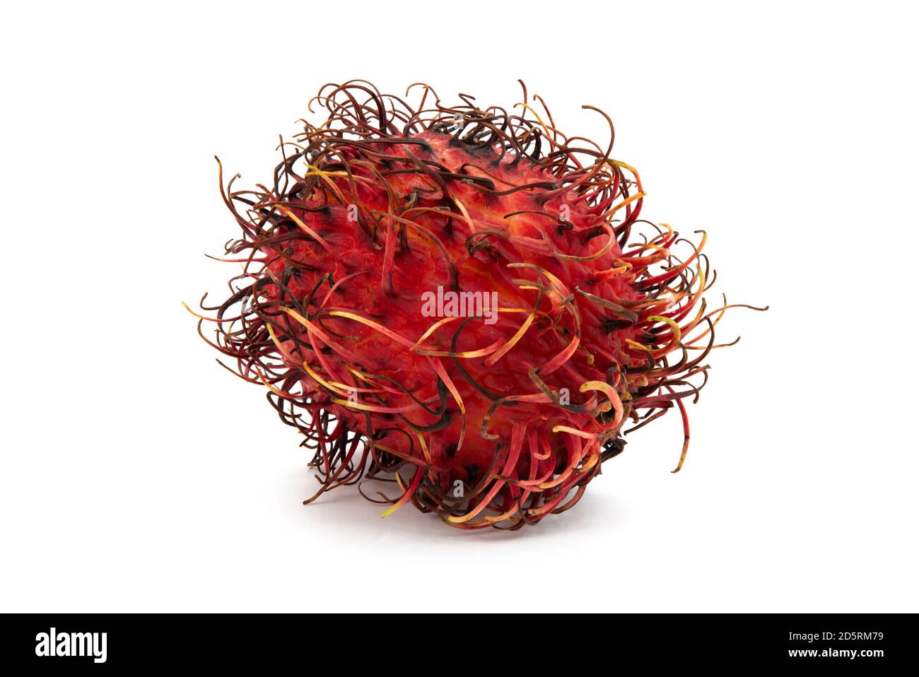 Rambutan exotic fruit Stock Photo