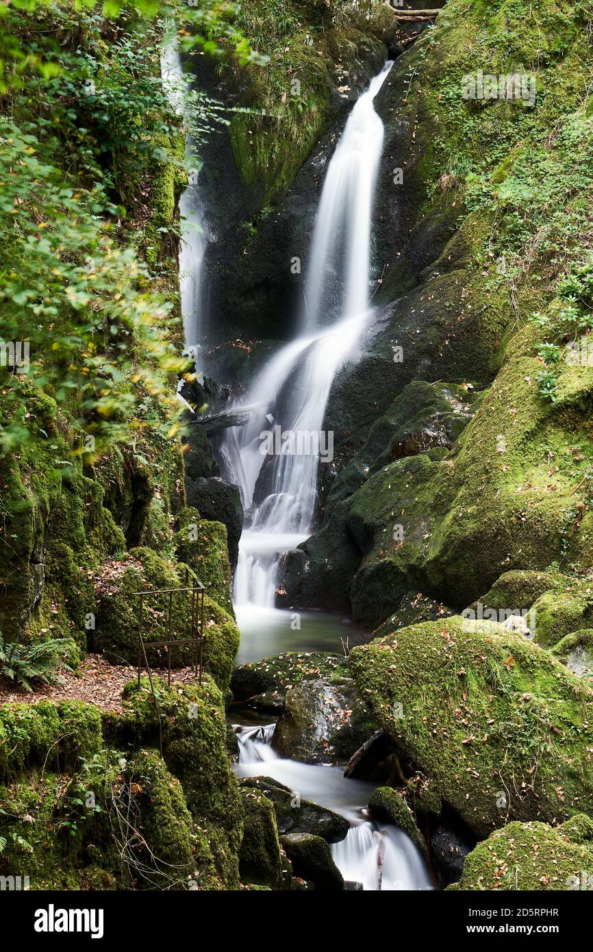 Stock Ghyll Force waterfall, Cumbria Stock Photo