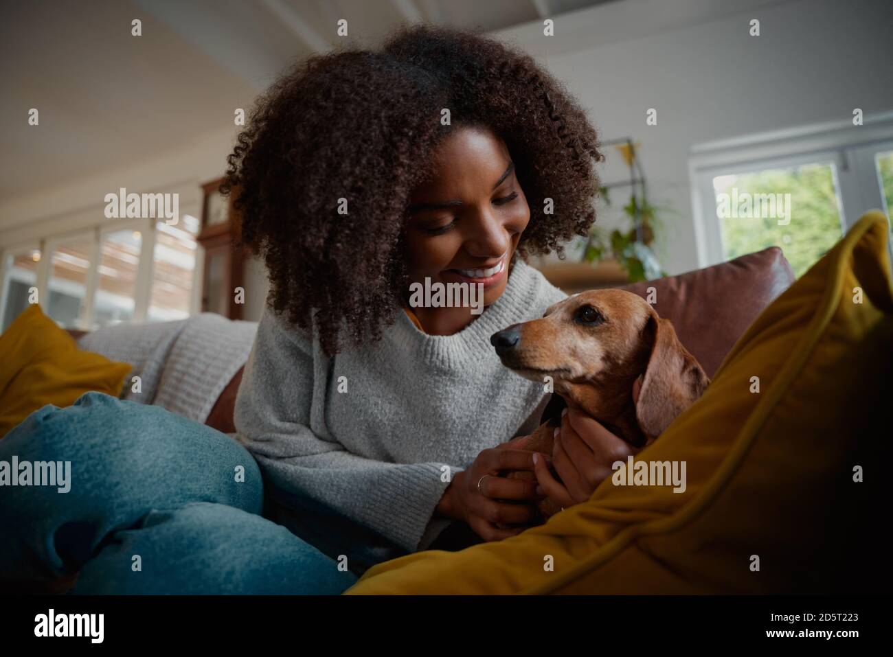 Smiling african woman playing with pet wiener dog at home sitting on couch Stock Photo
