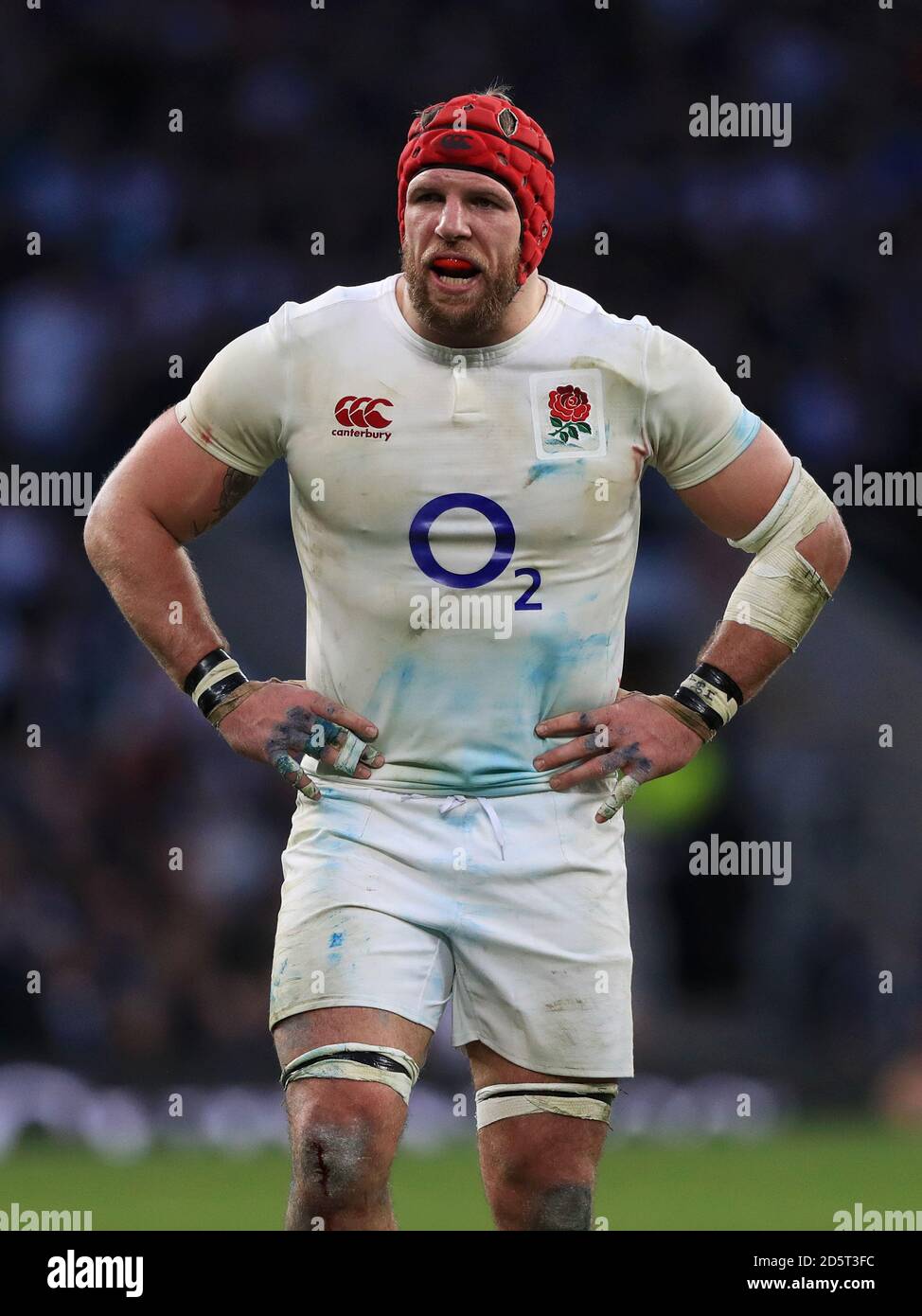 England's James Haskell Stock Photo
