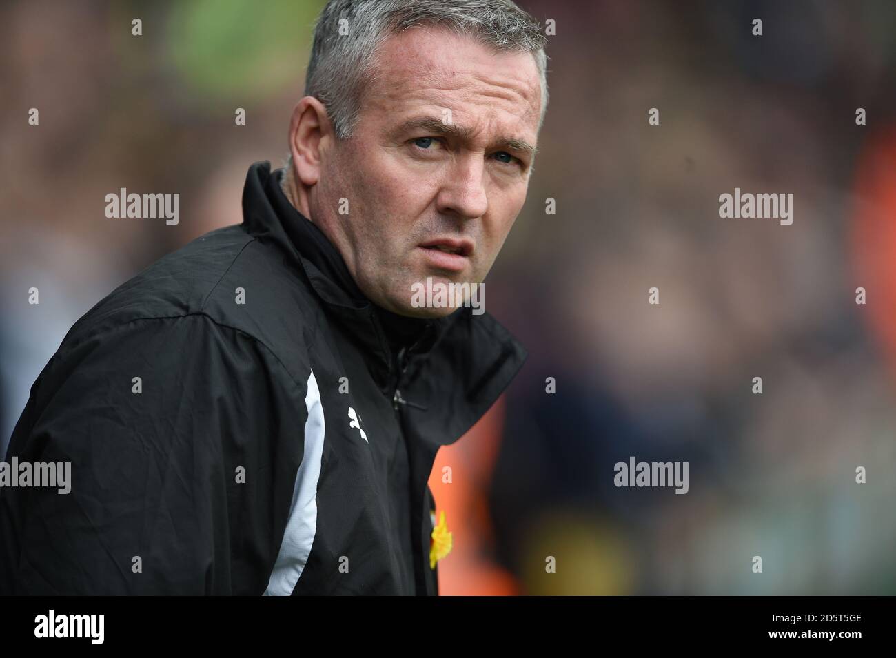 Wolverhampton Wanderers managers Paul Lambert Stock Photo - Alamy