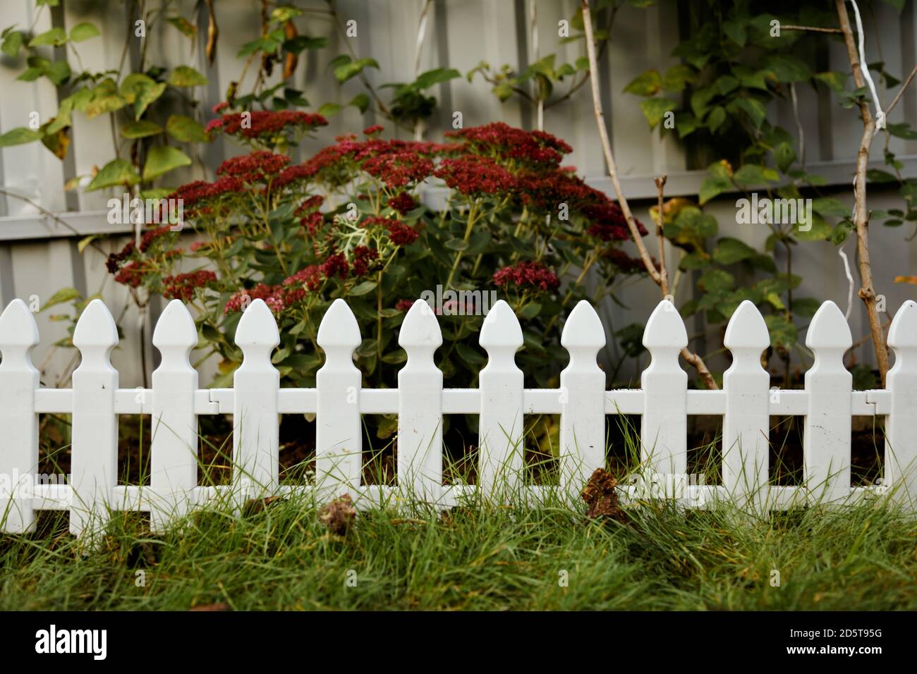 Plastic fence hires stock photography and images Alamy