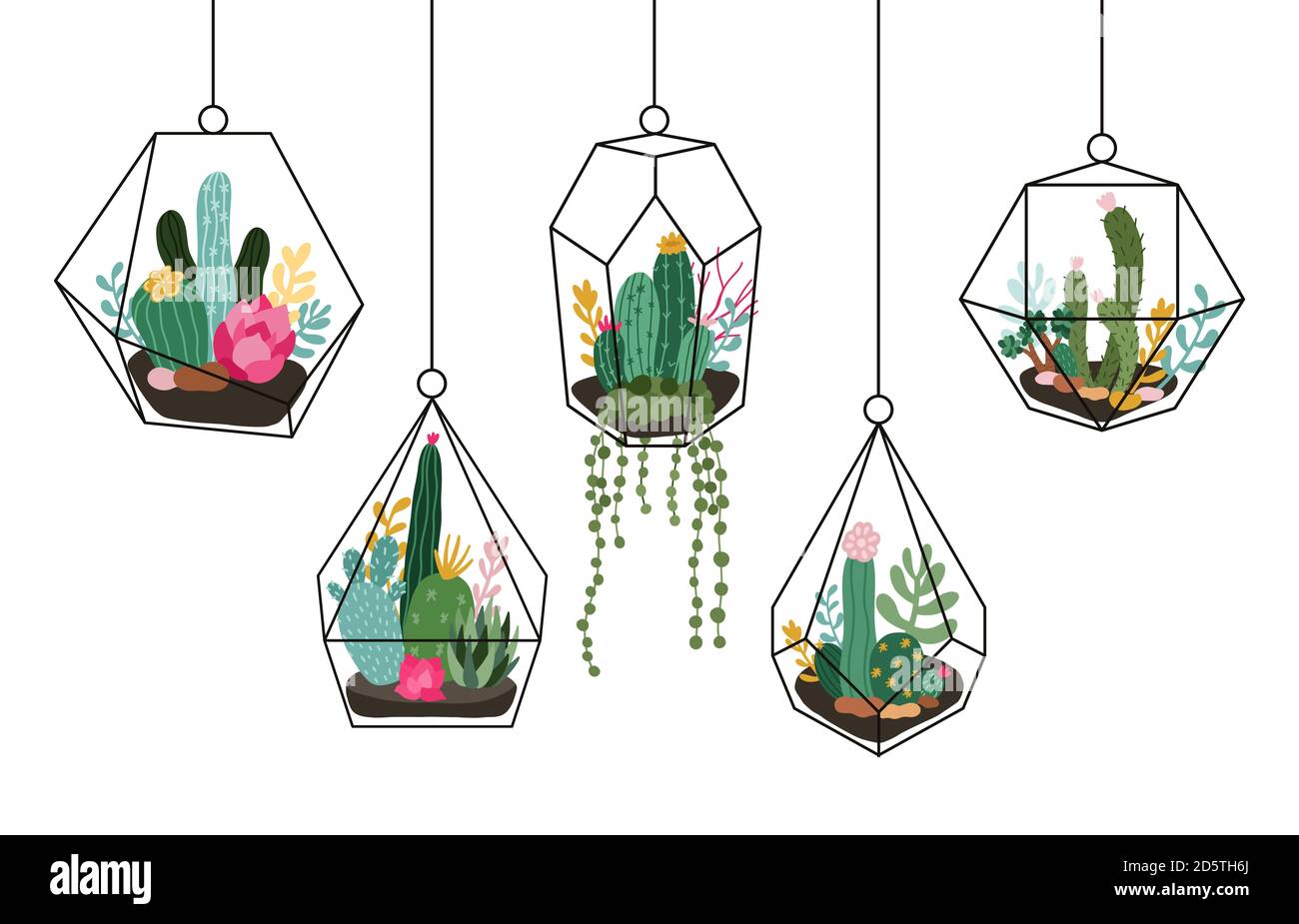 Doodle hanging terrarium. Succulents and cactuses glass florariums
