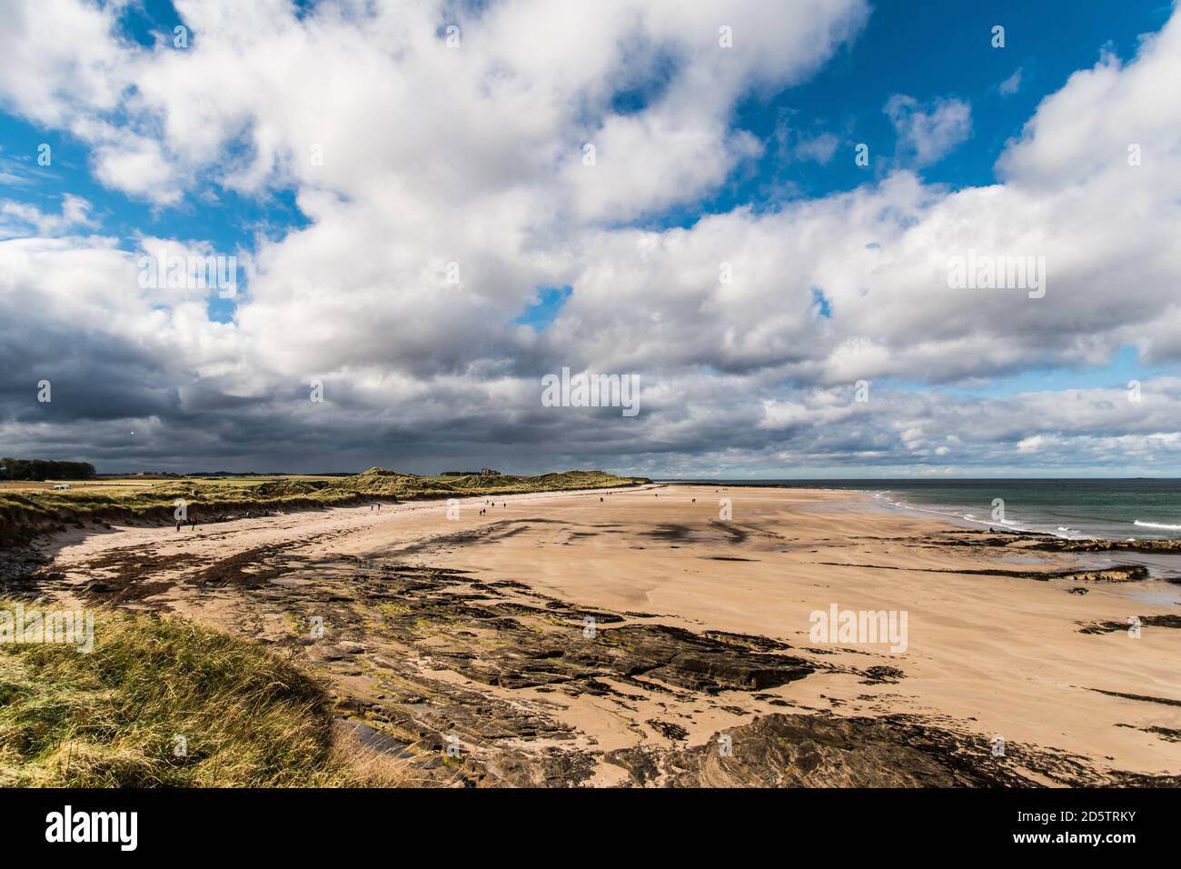 St Aidans Dunes, Seahouses, Northumberland, Bamburgh castle in the distance Stock Photo