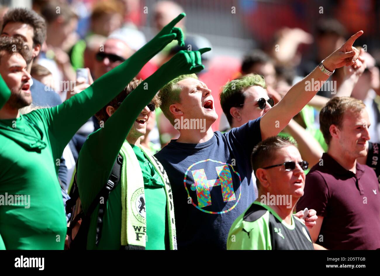 Forest Green Rovers' fans Stock Photo - Alamy