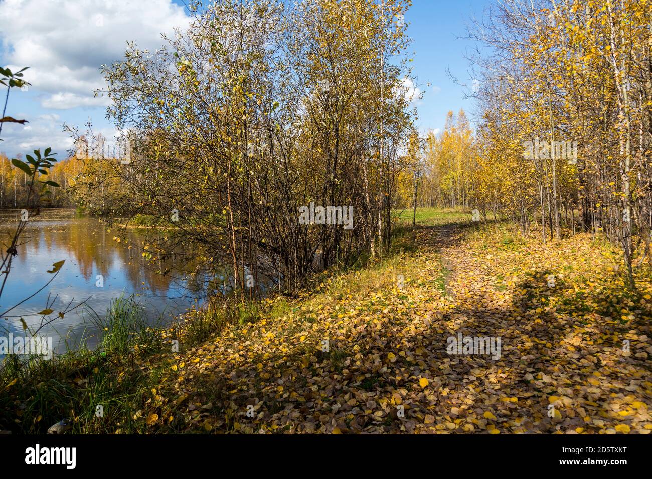September landscape near the forest lake in the autumn day Stock Photo ...