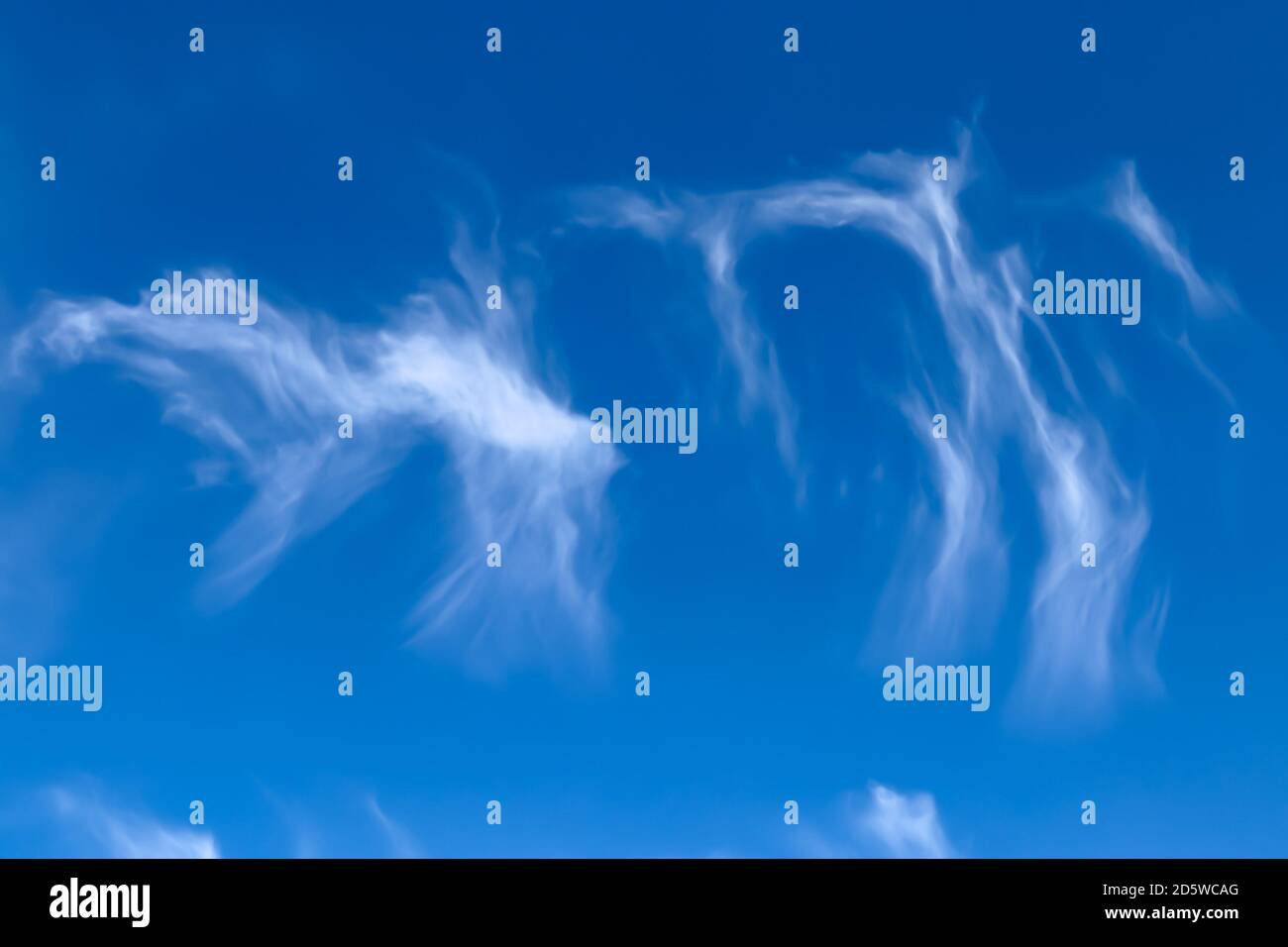 Stunning cirrus cloud formation panorama in a deep blue summer sky seen ...