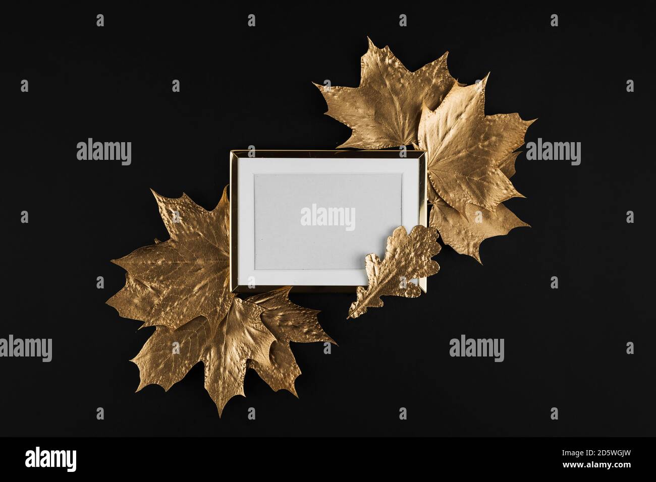 Autumn composition. Golden Frame with autumn golden maple leaves on ...