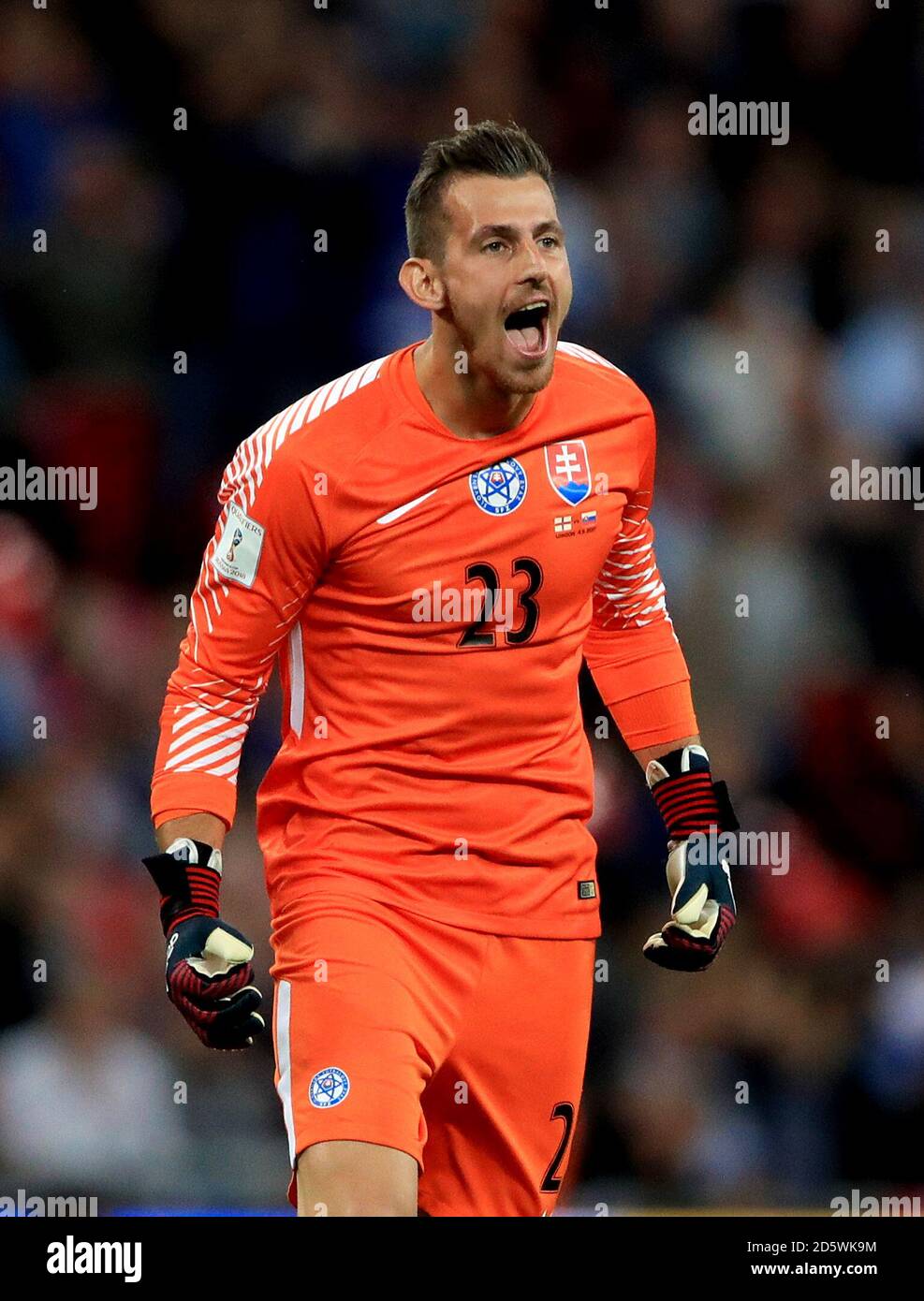 Martin Dubravka, Slovakia goalkeeper Stock Photo Alamy