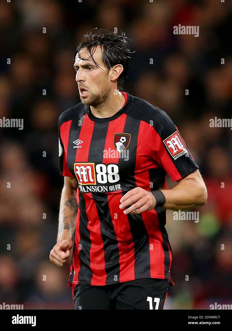 AFC Bournemouth's Charlie Daniels Stock Photo