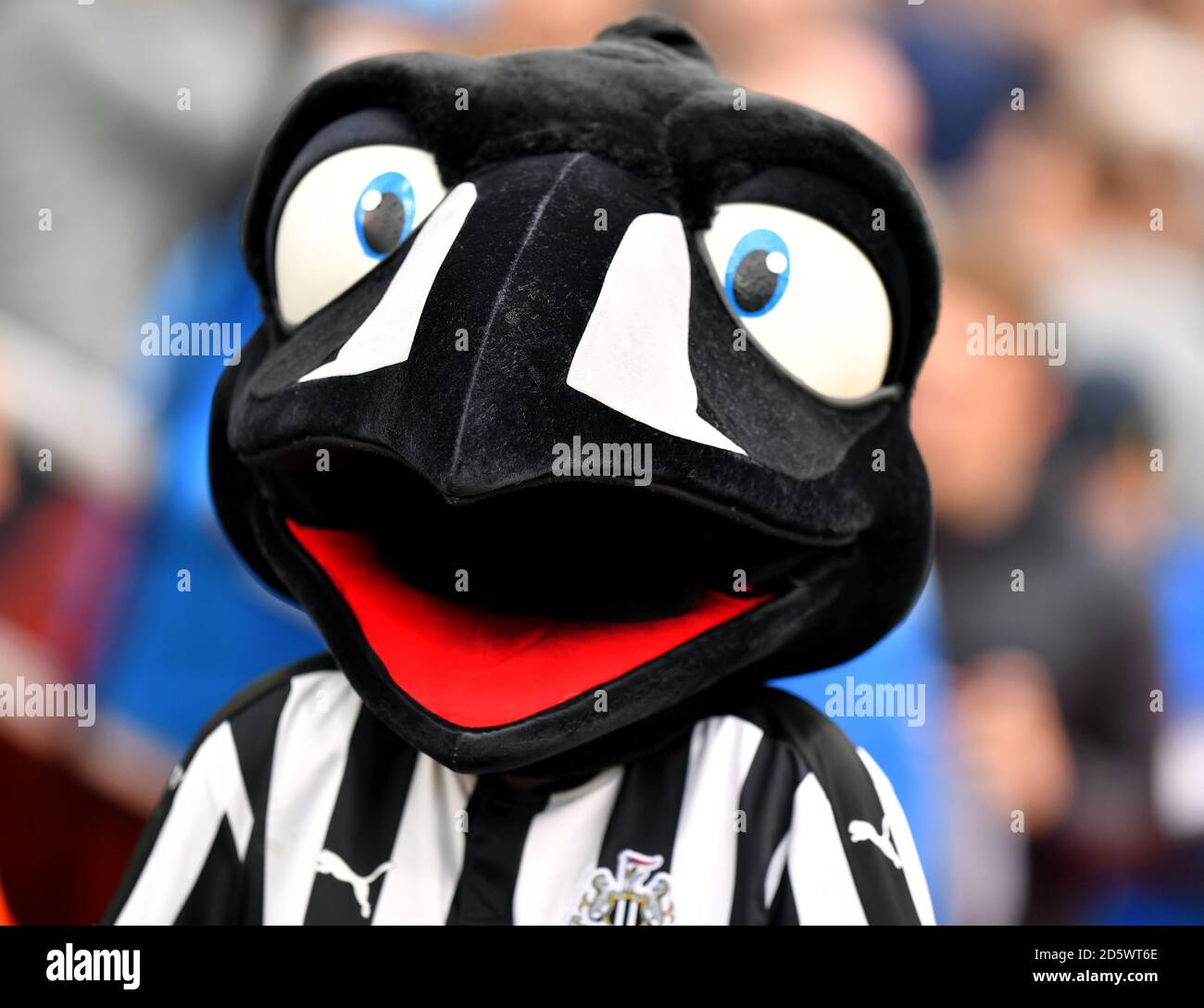 Newcastle United mascot Monty Magpie Stock Photo Alamy