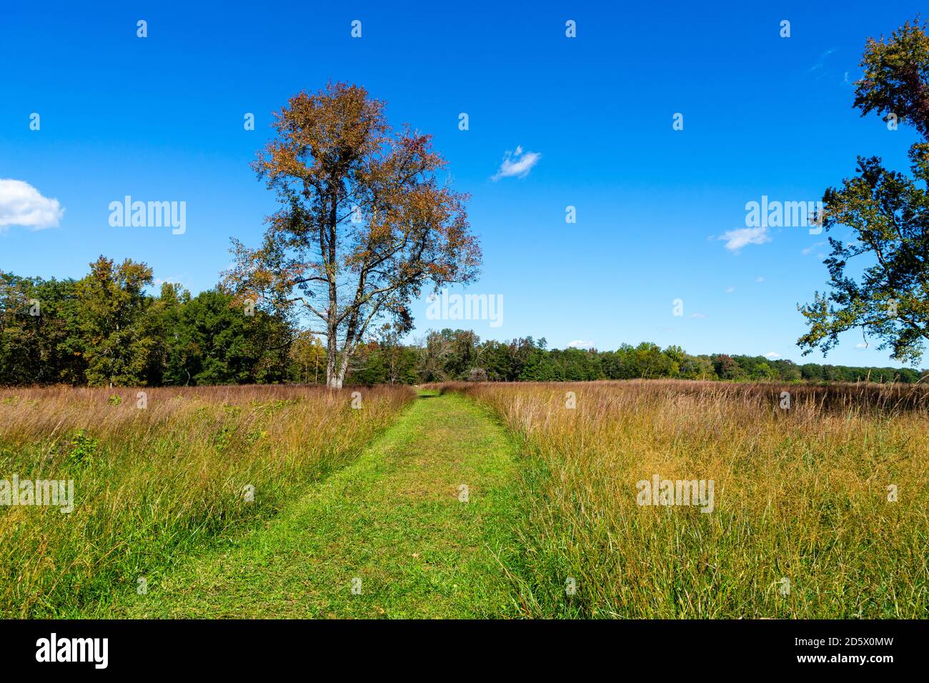 View of a meadow on a beautiful autumn day.c Stock Photo