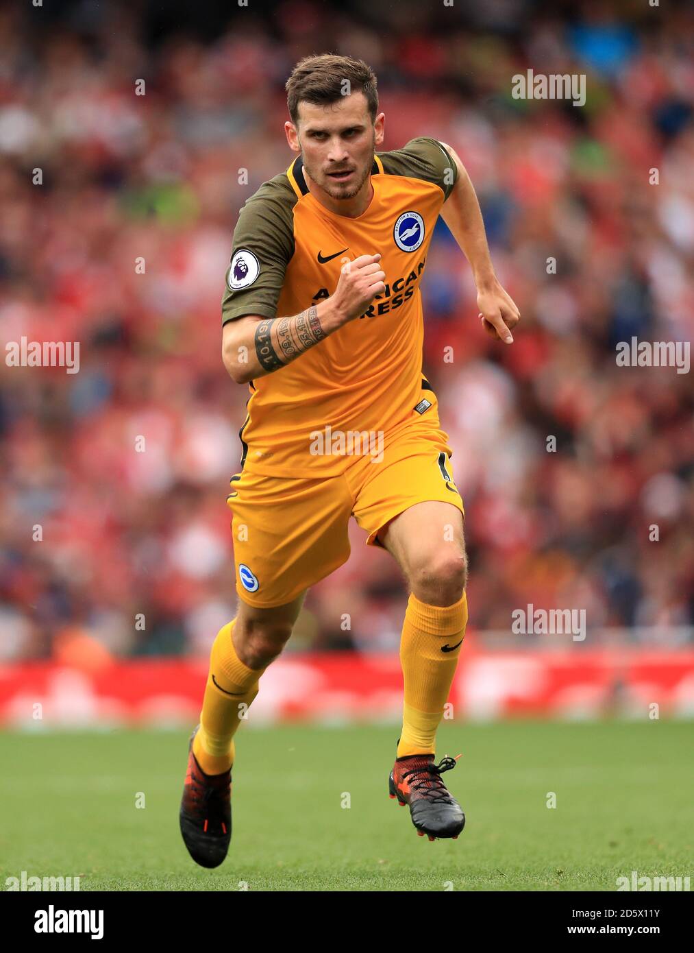 Brighton and Hove Albion's Pascal Grob Stock Photo Alamy