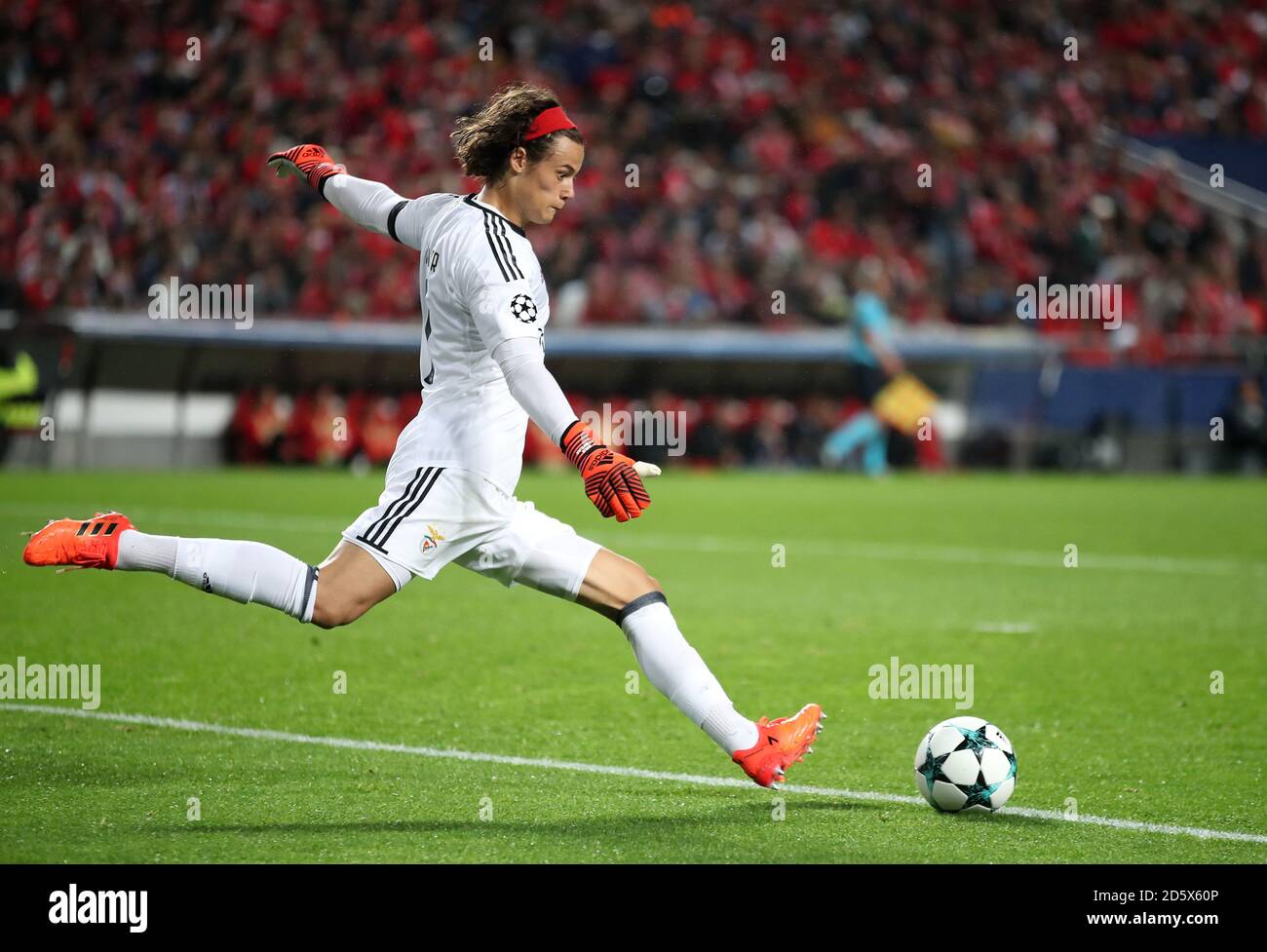 Benfica goalkeeper Mile Svilar Stock Photo Alamy