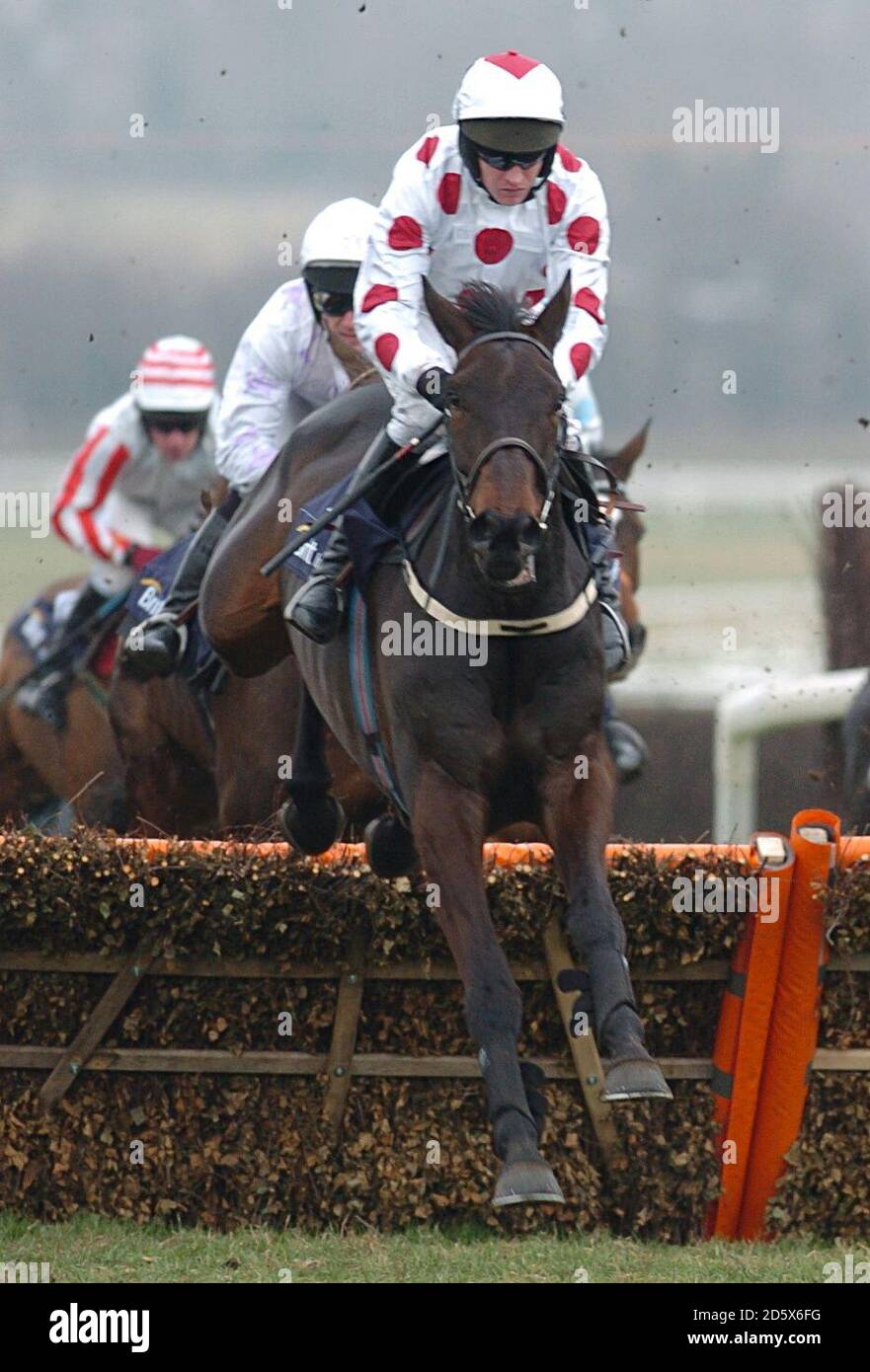 Travino ridden by Barry Geraghty in the Brit Insurance Novices' Hurdle (Grade 2) Stock Photo