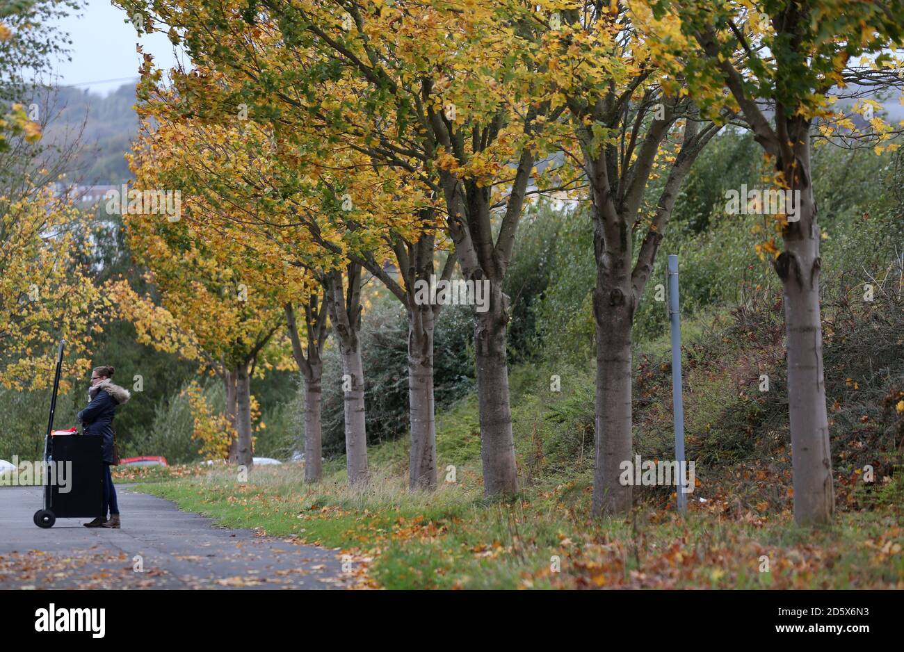 Programmes for sale before kick-off Stock Photo - Alamy