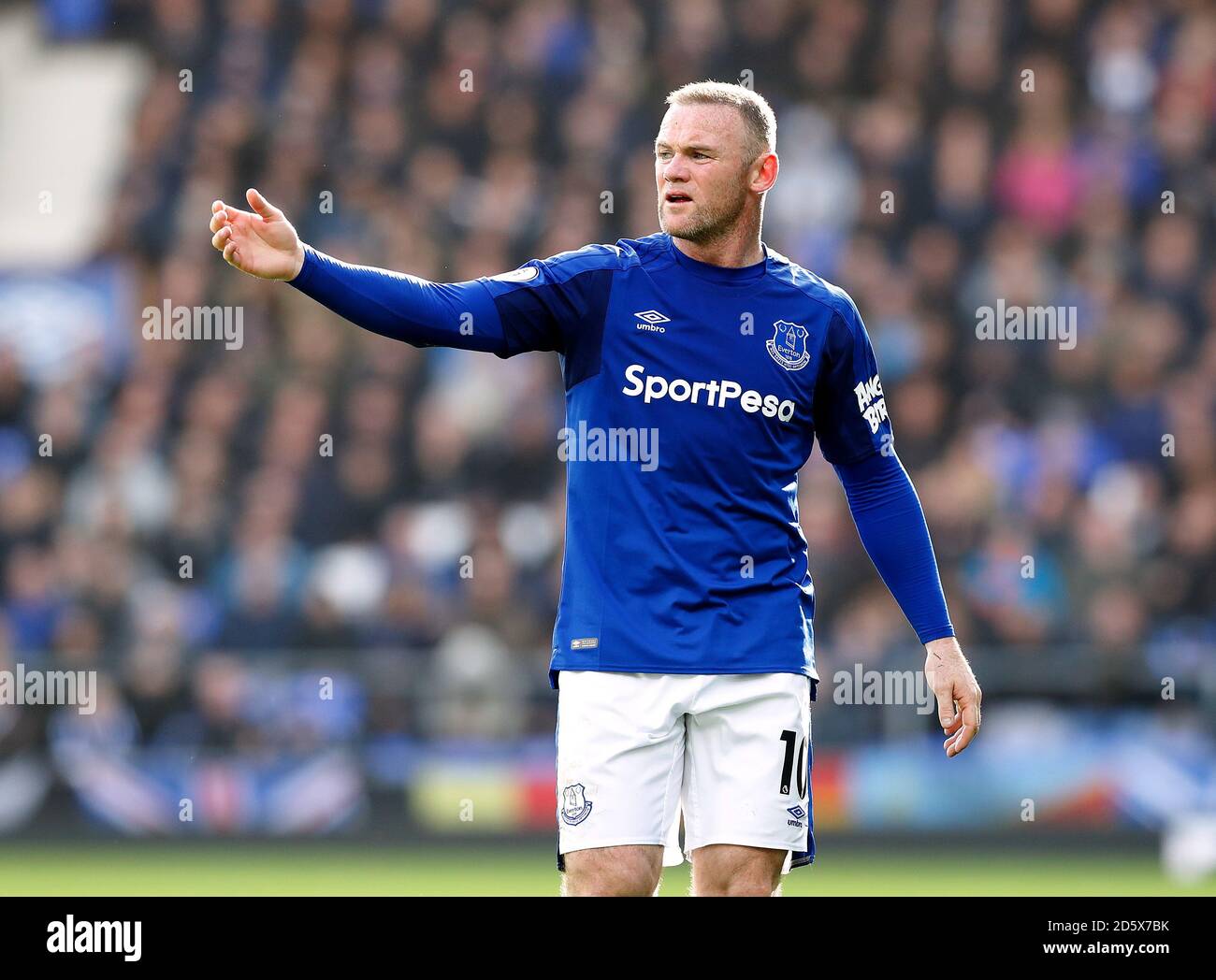 Wayne Rooney, Everton Stock Photo - Alamy