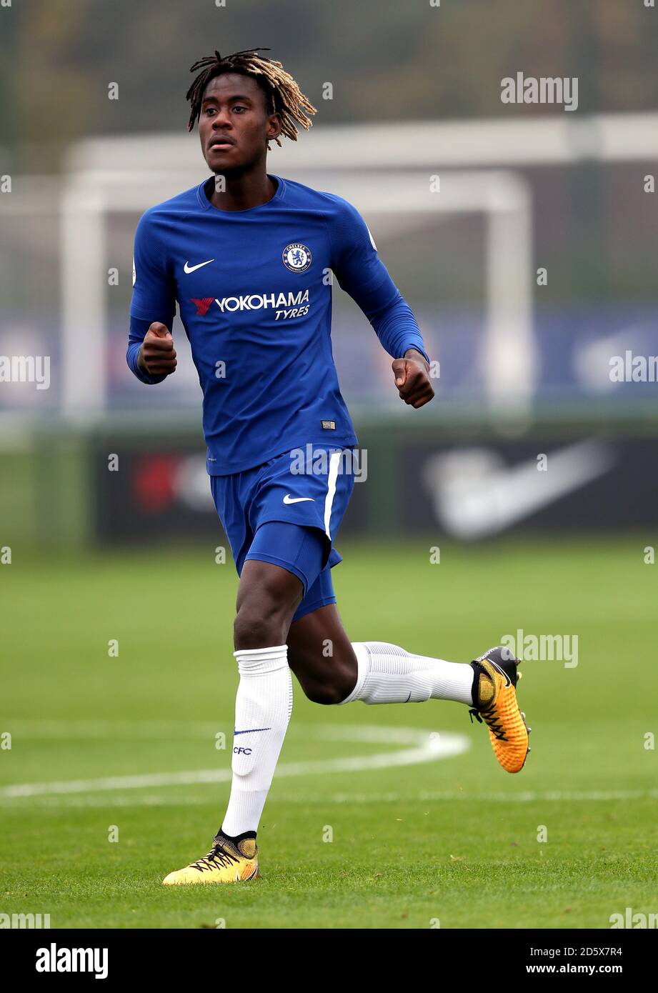 Trevoh Chalobah, Ch…